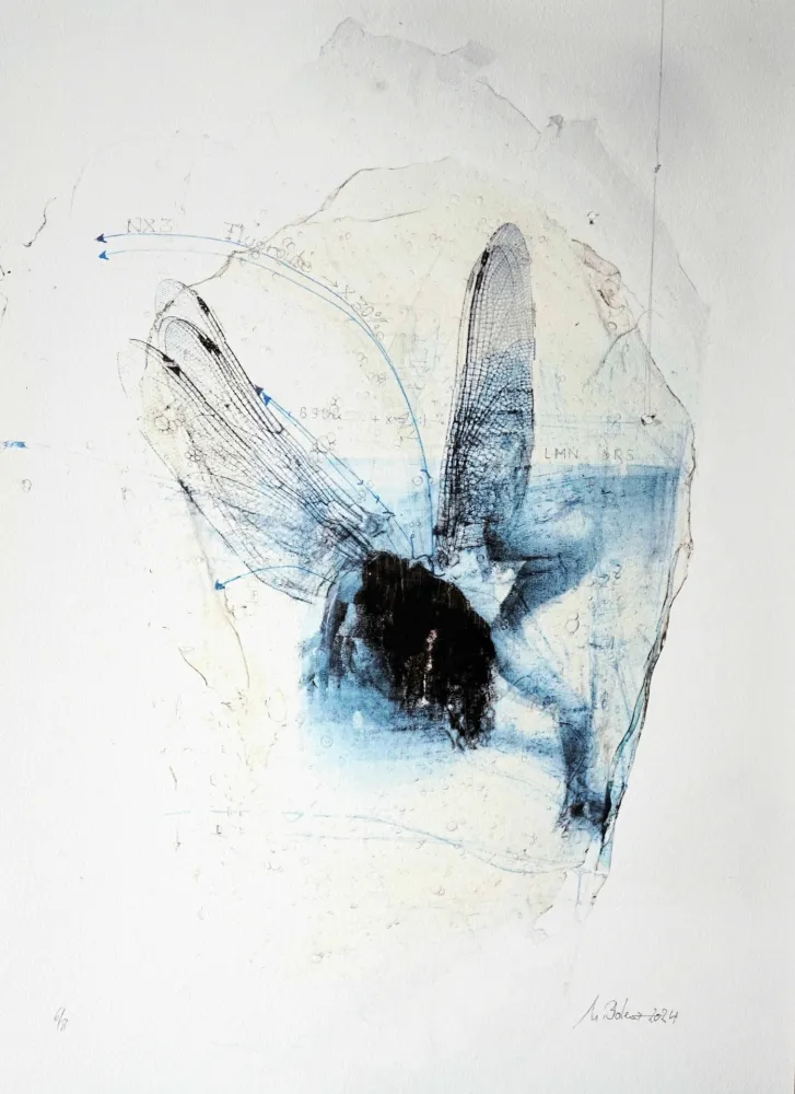 Stich Bolenz - Libellule