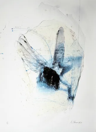 Stich Bolenz - Libellule