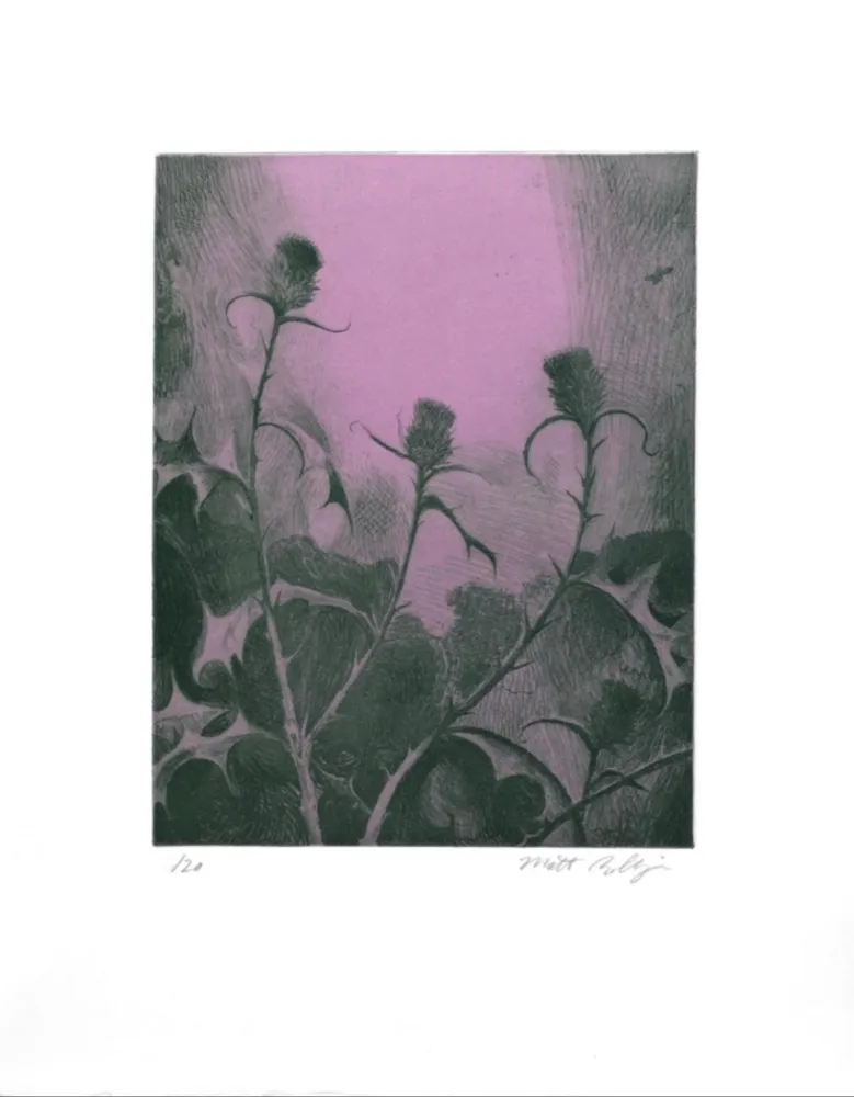 Stich Bollinger - Dusk Thistle