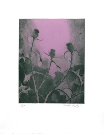 Stich Bollinger - Dusk Thistle
