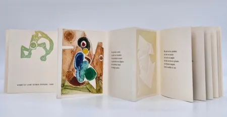 Illustriertes Buch Boni - Transfert