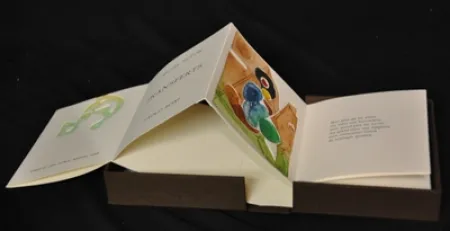 Illustriertes Buch Boni - Transferts