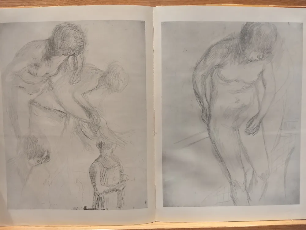 Illustriertes Buch Bonnard - Couleur De Bonnard