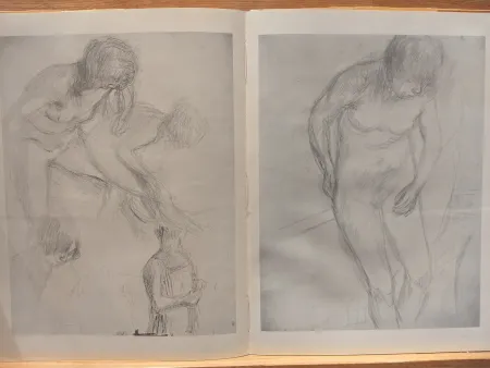 Illustriertes Buch Bonnard - Couleur De Bonnard