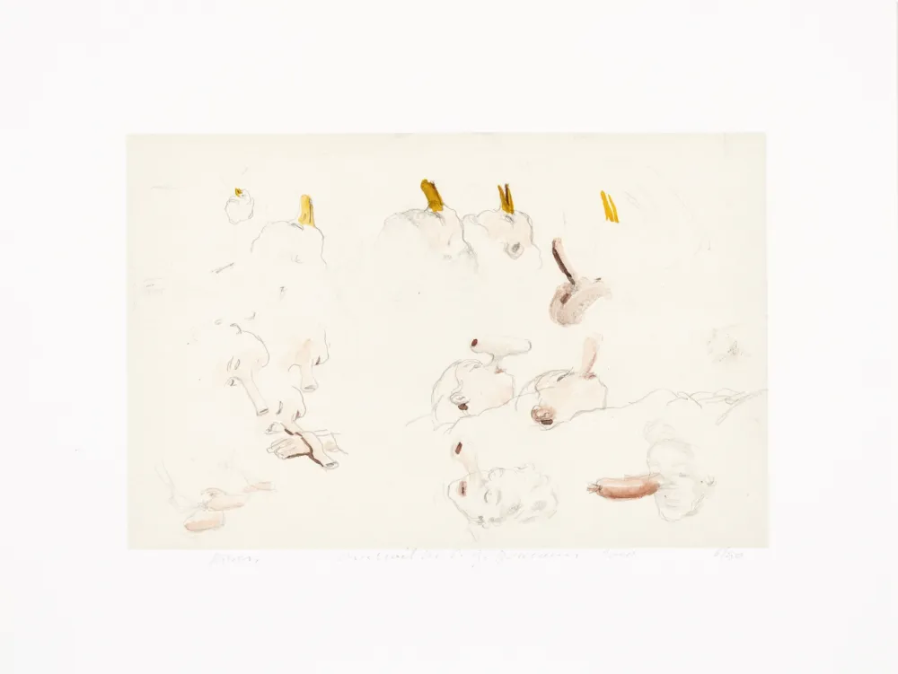 Digitale Druckgrafik Borremans - Noses