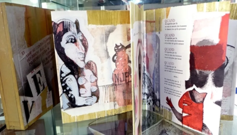 Illustriertes Buch Botti  - Des chats dites-vous ?