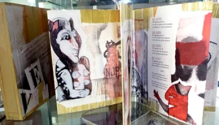 Illustriertes Buch Botti  - Des chats dites-vous ?