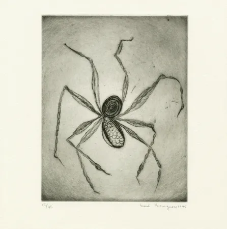 Stich Bourgeois - Untitled from 