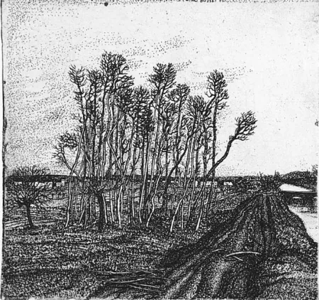 Radierung Bozzetti - Il boschetto lungo l'argine (II versione)