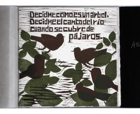 Illustriertes Buch Brancaforte - Decidme cómo es un árbol