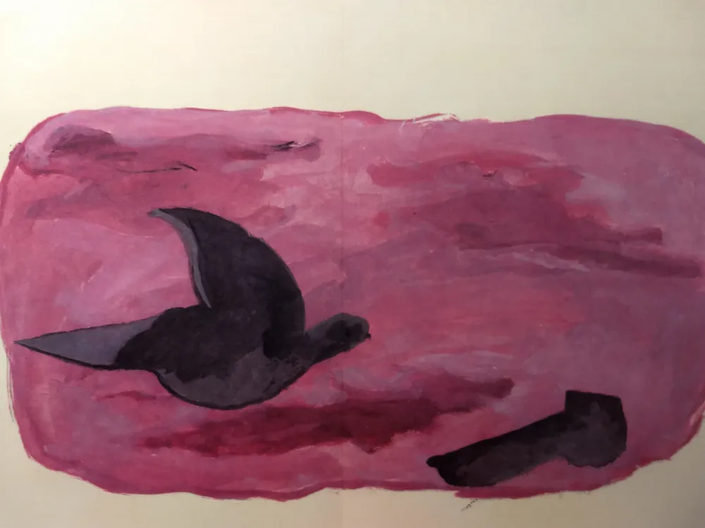 Illustriertes Buch Braque - DLM 166