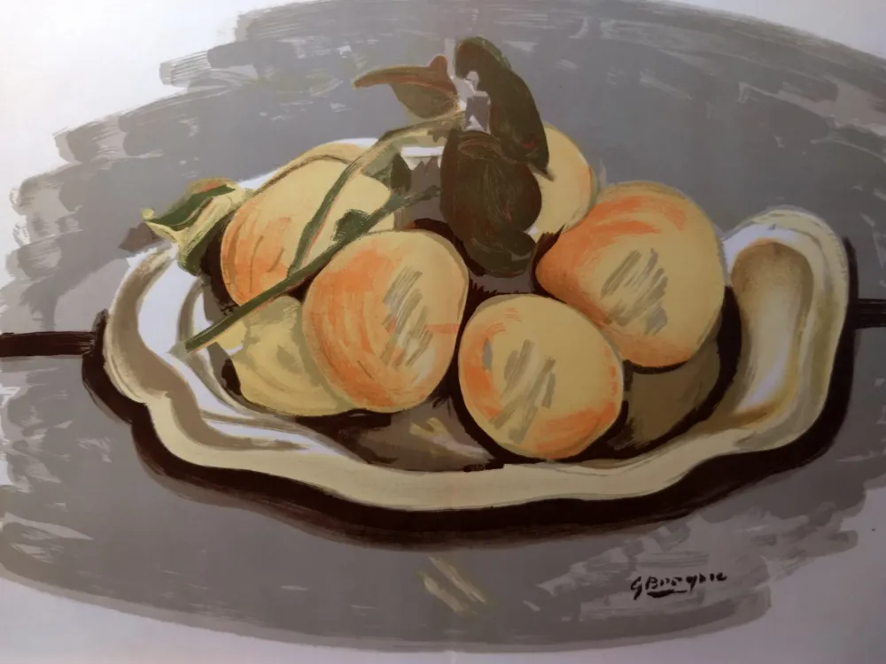 Illustriertes Buch Braque - DLM 48-49