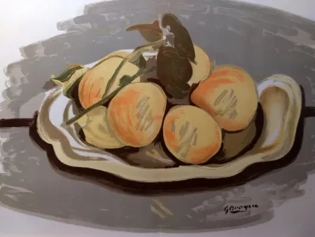 Illustriertes Buch Braque - DLM 48-49