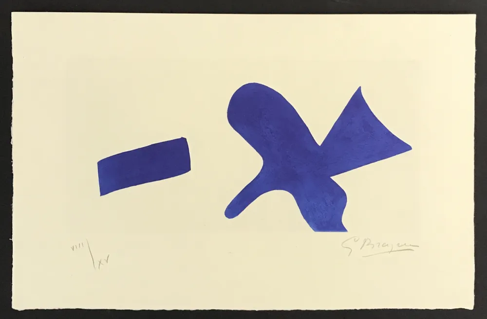 Stich Braque - La Magie Quotidienne