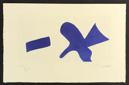 Stich Braque - La Magie Quotidienne