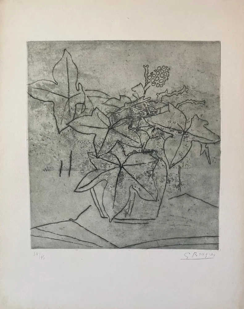 Stich Braque - Le Lierre #99
