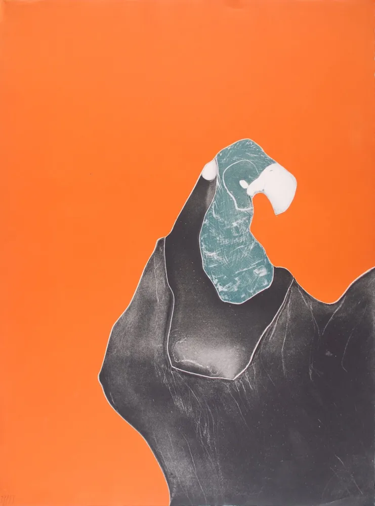 Radierung Brillant - Le Rocher Perroquet