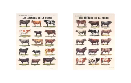 Offset Broodthaers - Les animaux de la ferme