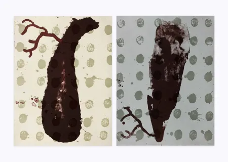 Lithographie Brown - Two cells diptyque