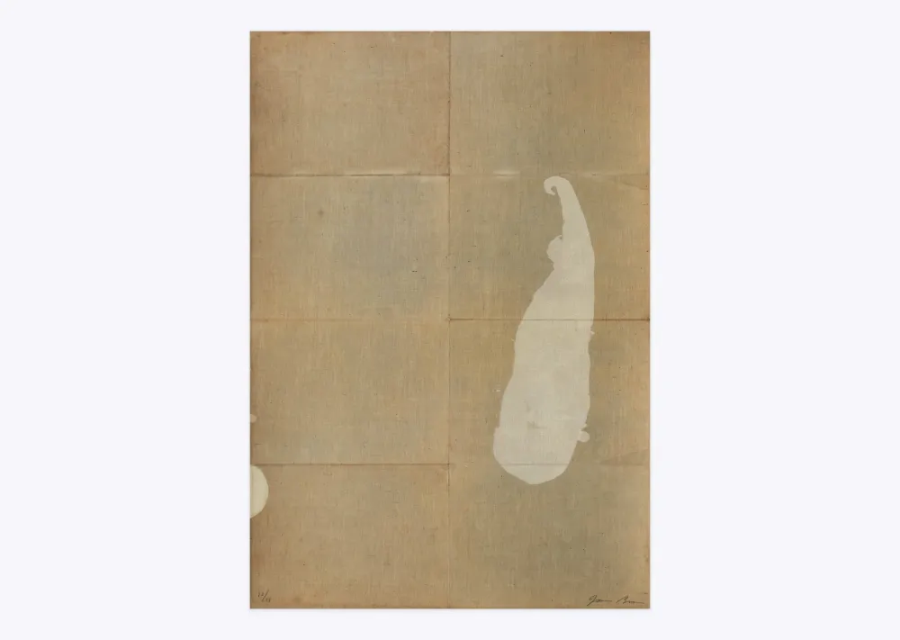 Lithographie Brown - White salt 