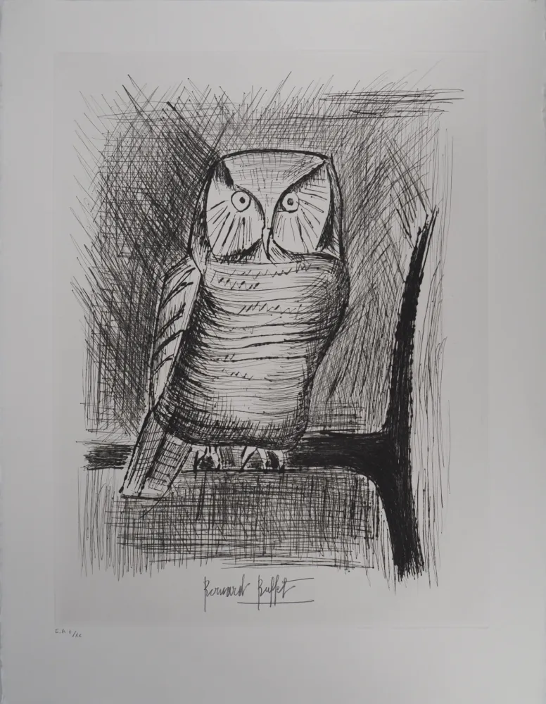 Stich Buffet - Chouette épervière,