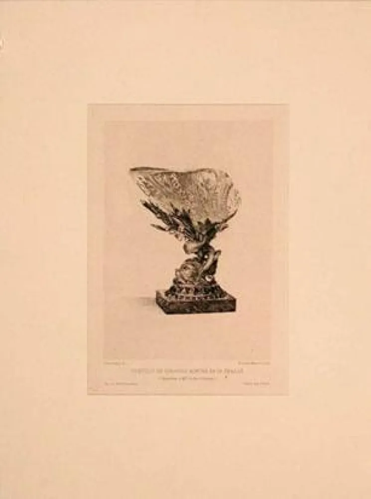 Stich Buhot - Coquille de girasole