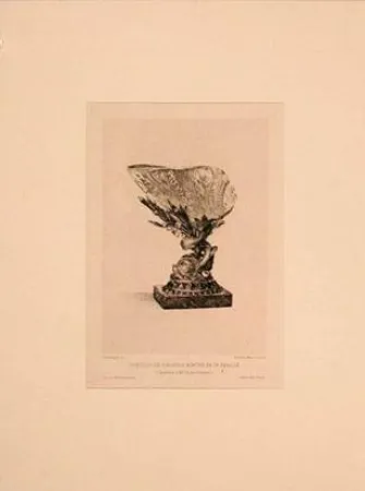 Stich Buhot - Coquille de girasole