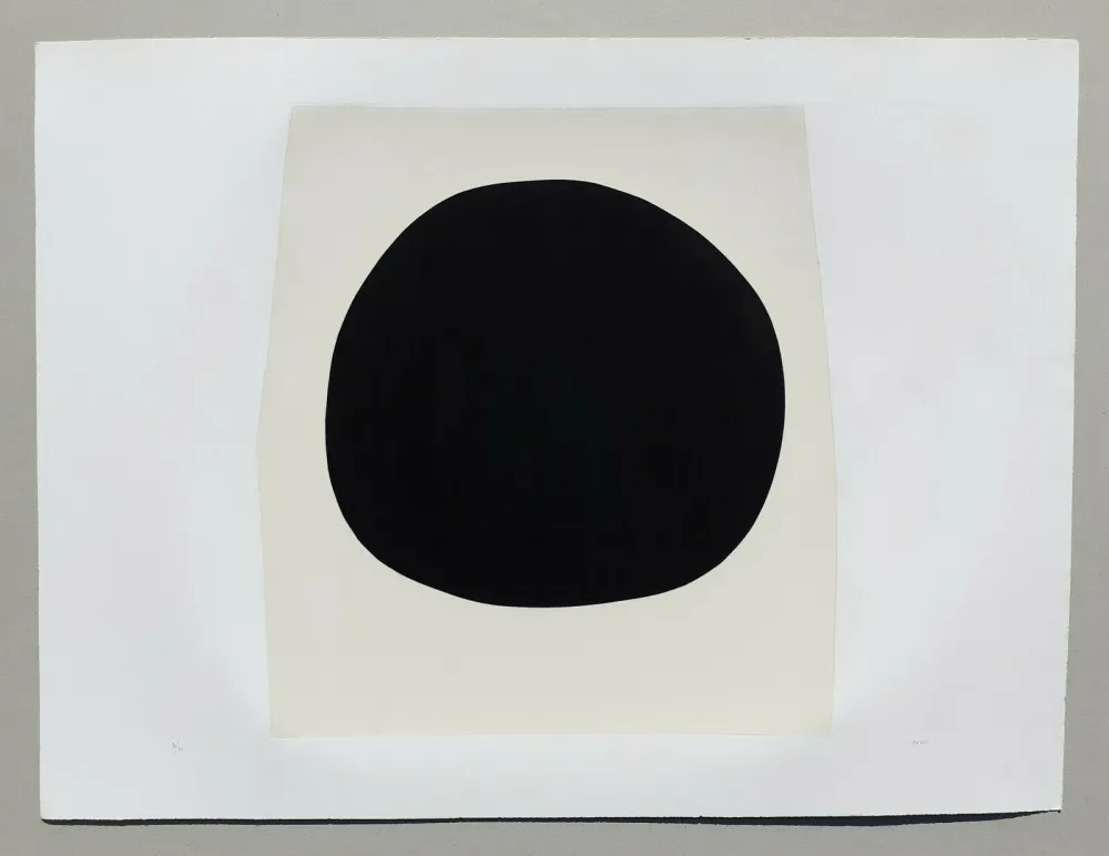 Lithographie Burri - Bianchi e neri I - Tavola F