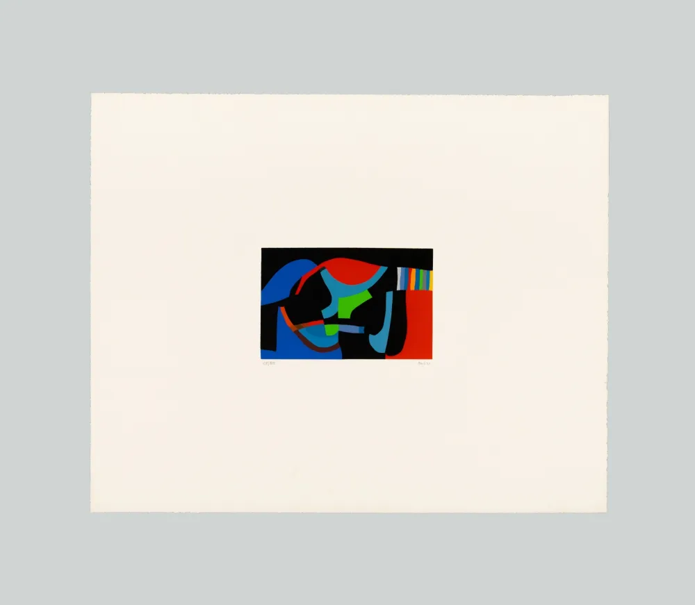 Siebdruck Burri - Serigrafia