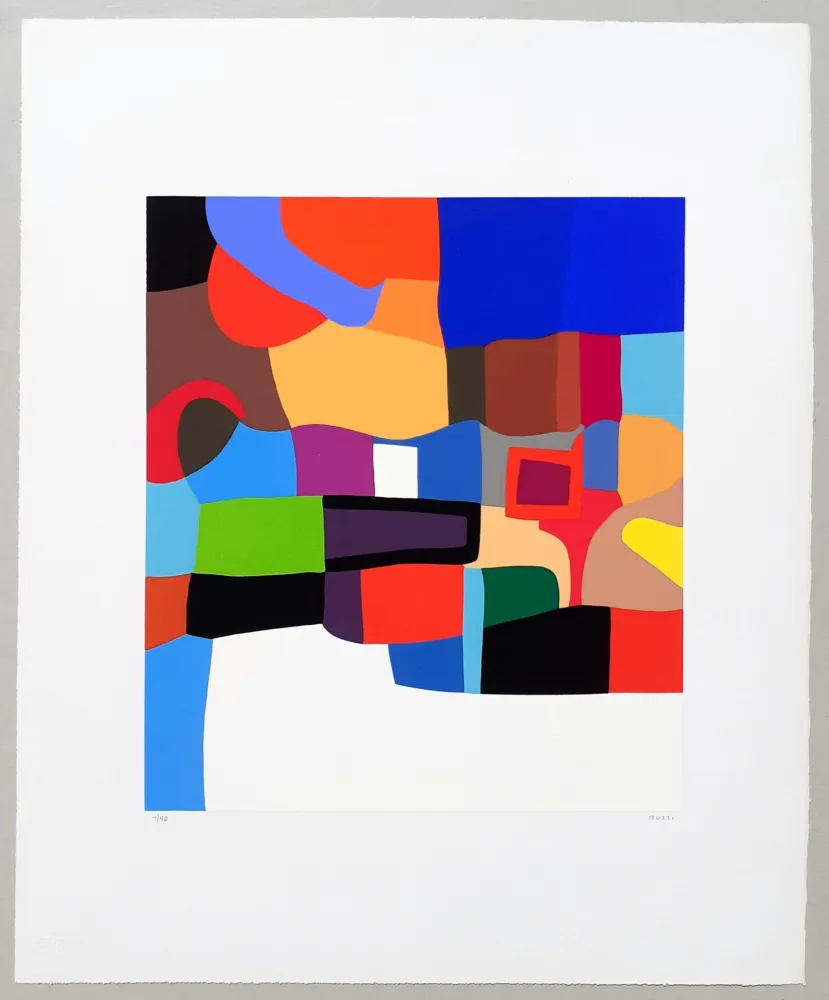 Siebdruck Burri - Serigrafia 2-D