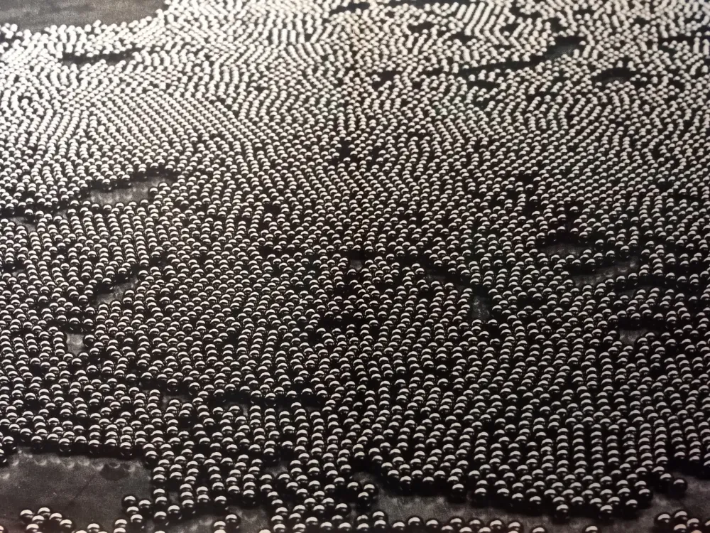 Illustriertes Buch Bury - DLM 191