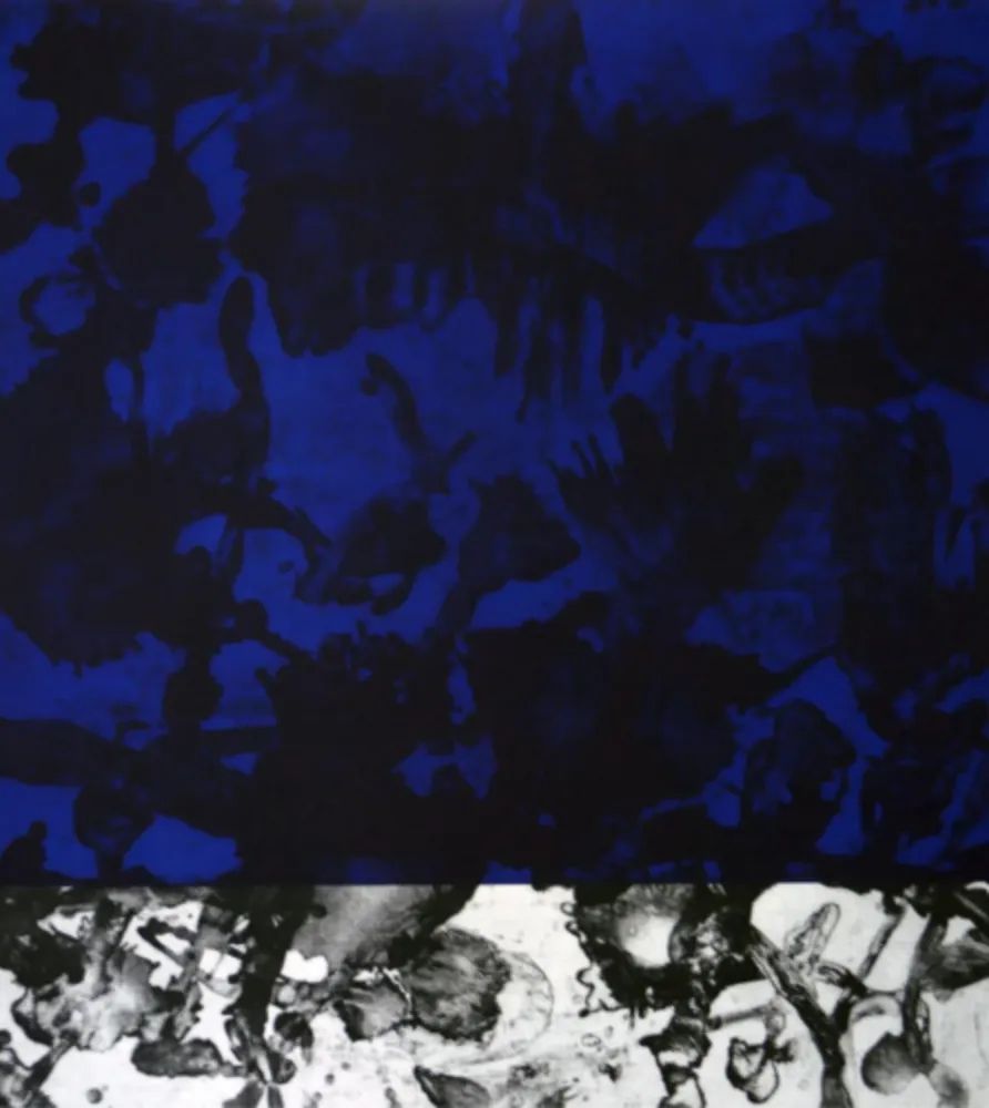 Aquatinta Cabrita Reis - E as estrelas do céu cairam na terra....IV