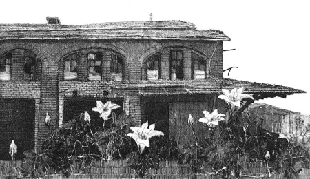 Radierung Cacciarini - Il giardino della fabbrica