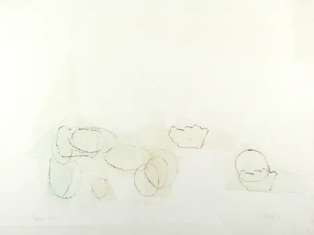 Kaltnadelradierung Cage - Ryoku 2