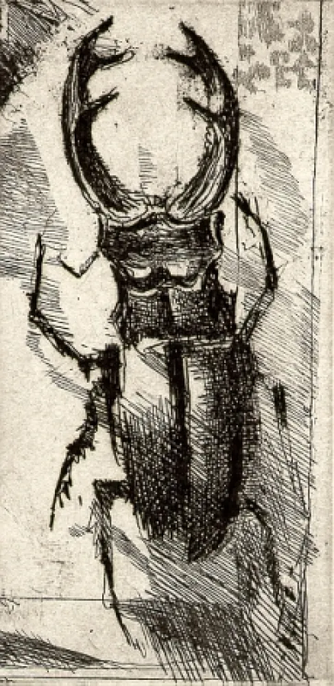 Illustriertes Buch Calandri - Ballades et Rondeaux du Testament Villon