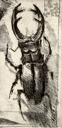 Illustriertes Buch Calandri - Ballades et Rondeaux du Testament Villon