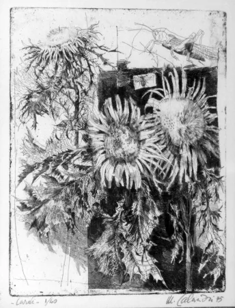 Radierung Calandri - Cardi