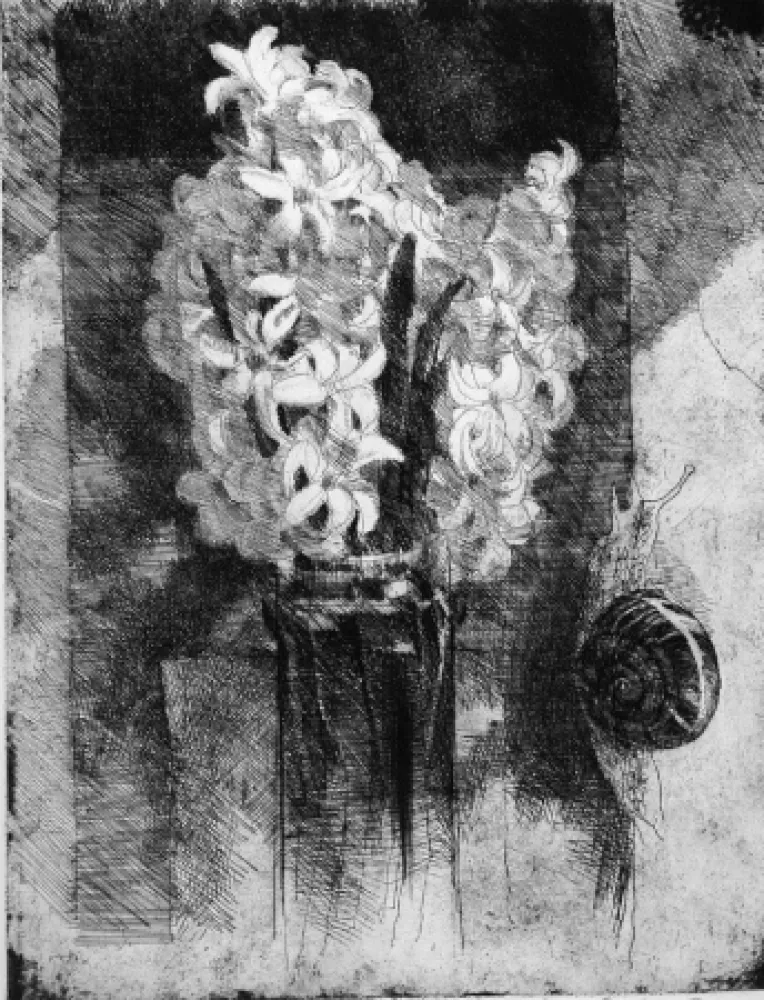 Radierung Calandri - Giacinti