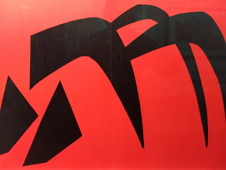 Illustriertes Buch Calder - DLM 113