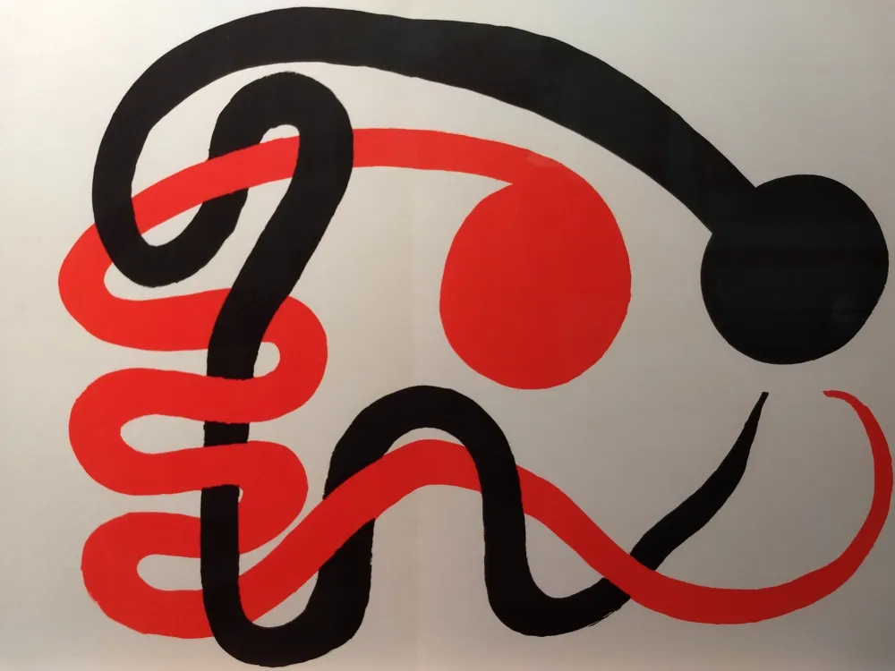 Illustriertes Buch Calder - DLM 201