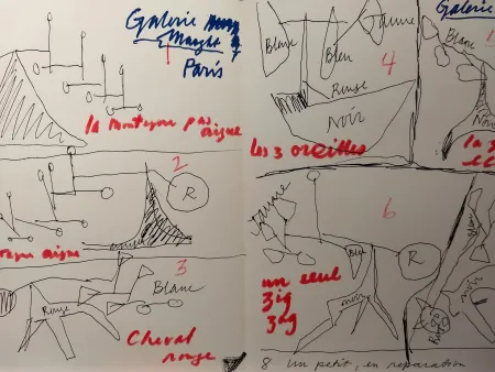 Illustriertes Buch Calder - DLM 248