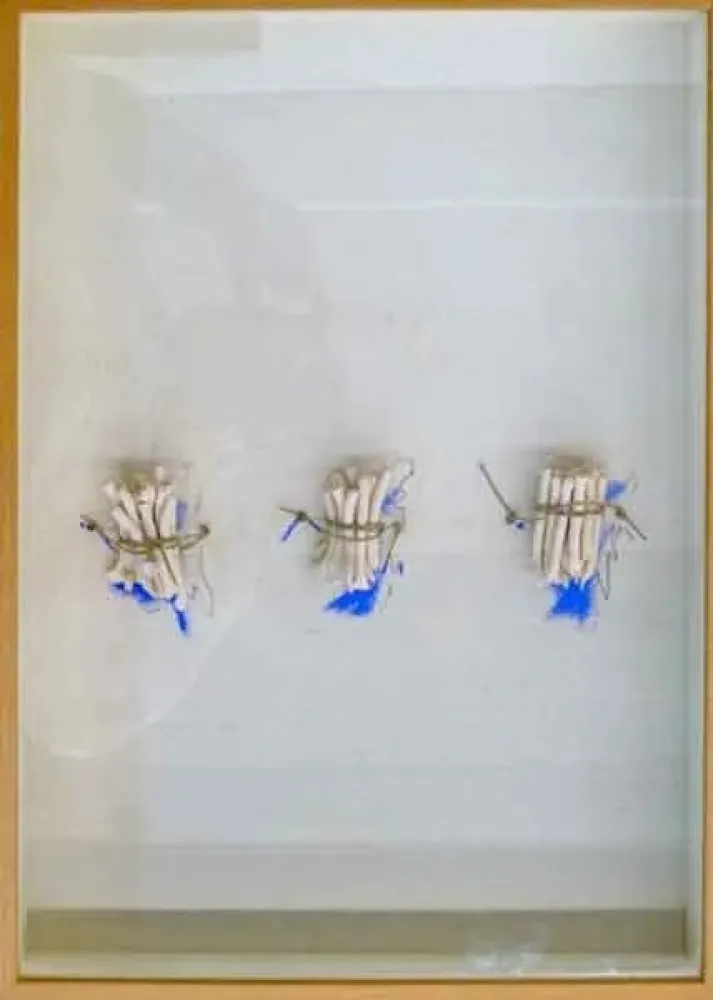 Keine Technische Calvo - Historia pendiente