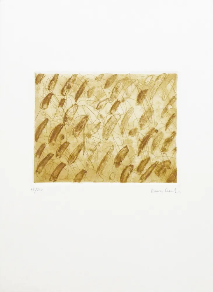 Stich Canet - Sin Titulo