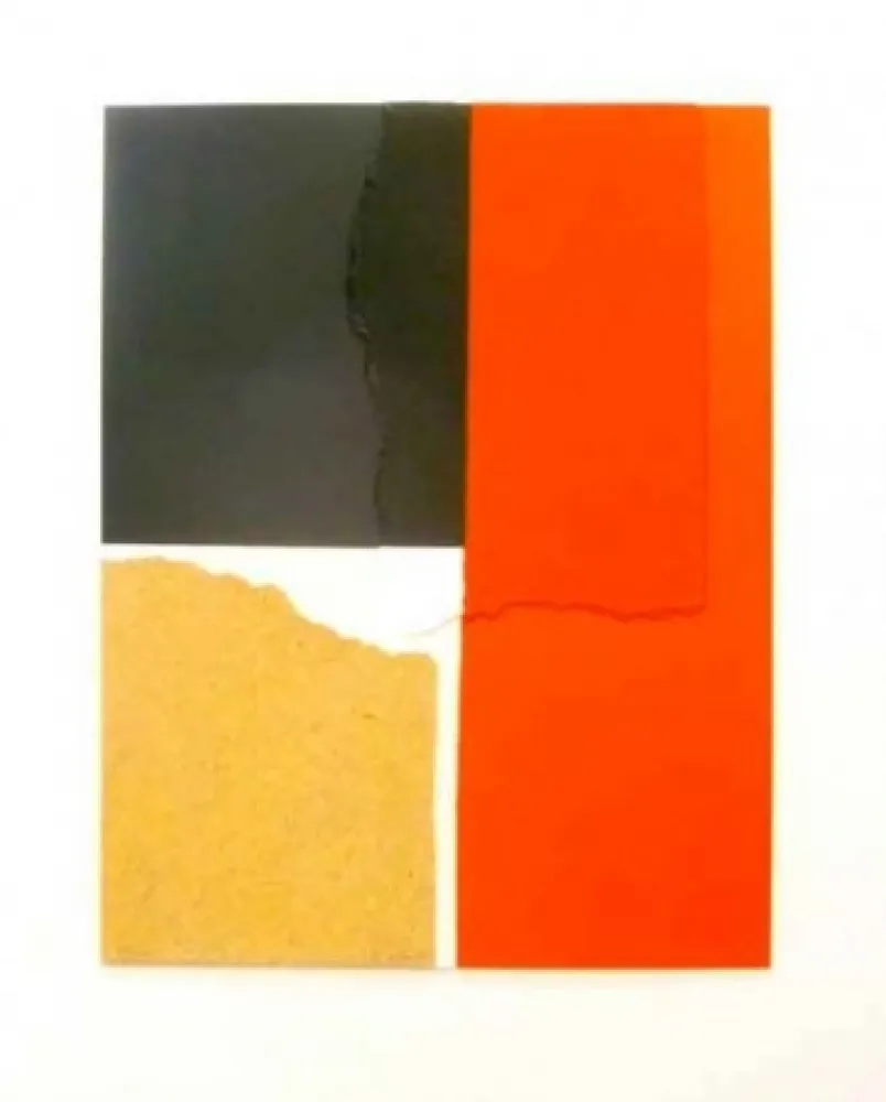 Siebdruck Canogar - Crisol