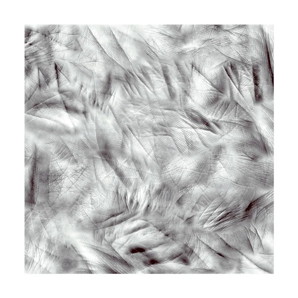 Fotografie Canogar - Life Lines