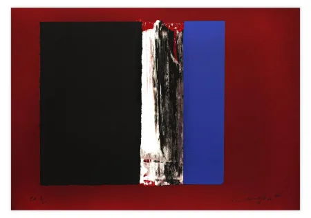 Stich Canogar - Renta