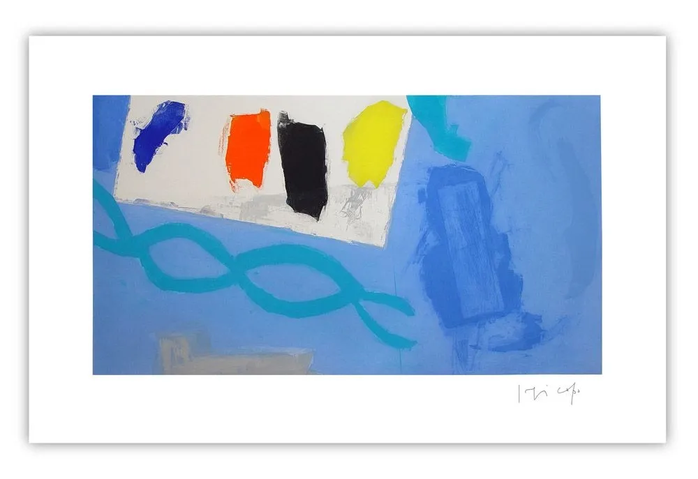 Stich Capa - Blue colors