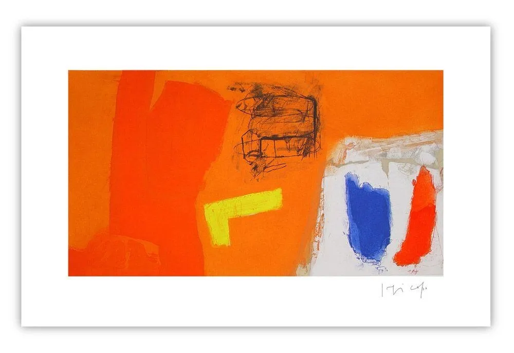 Stich Capa - Colors and orange
