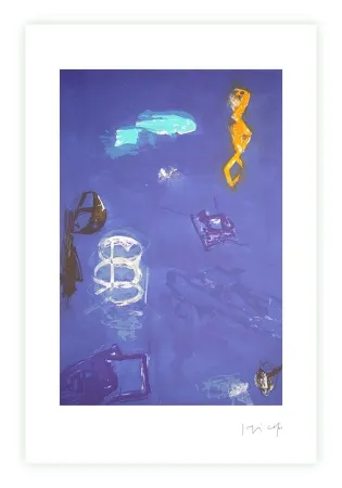 Stich Capa - Deep night