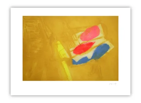 Stich Capa - Diagonal colors (S.S.)